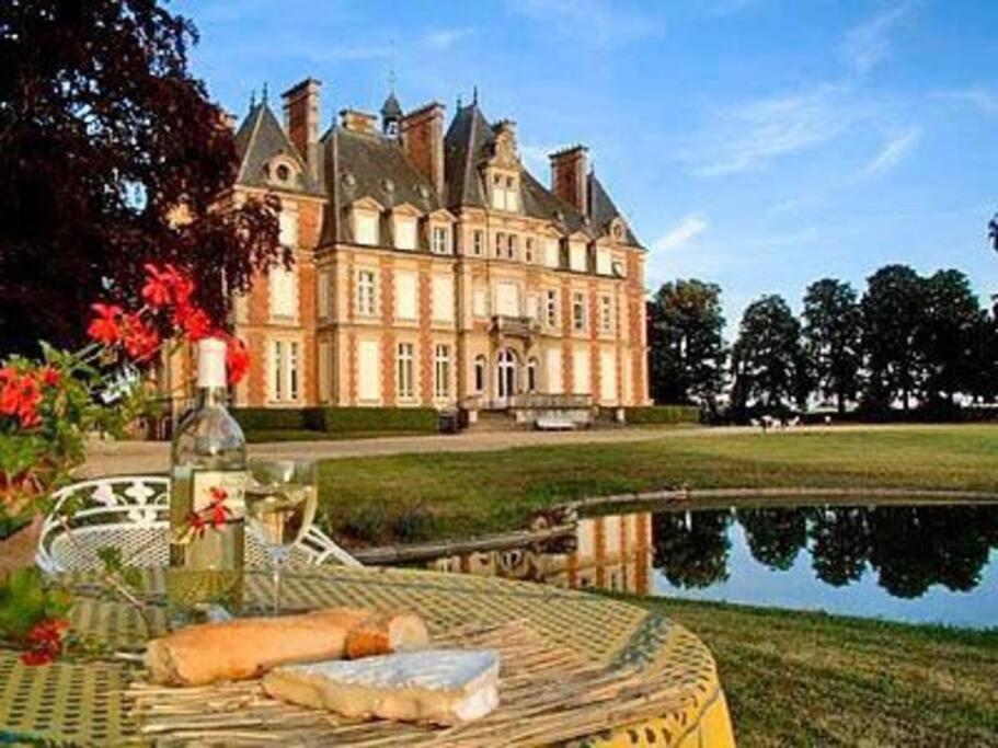 Charming Romantic Tower In Chateau Estate Ocquerre Kültér fotó
