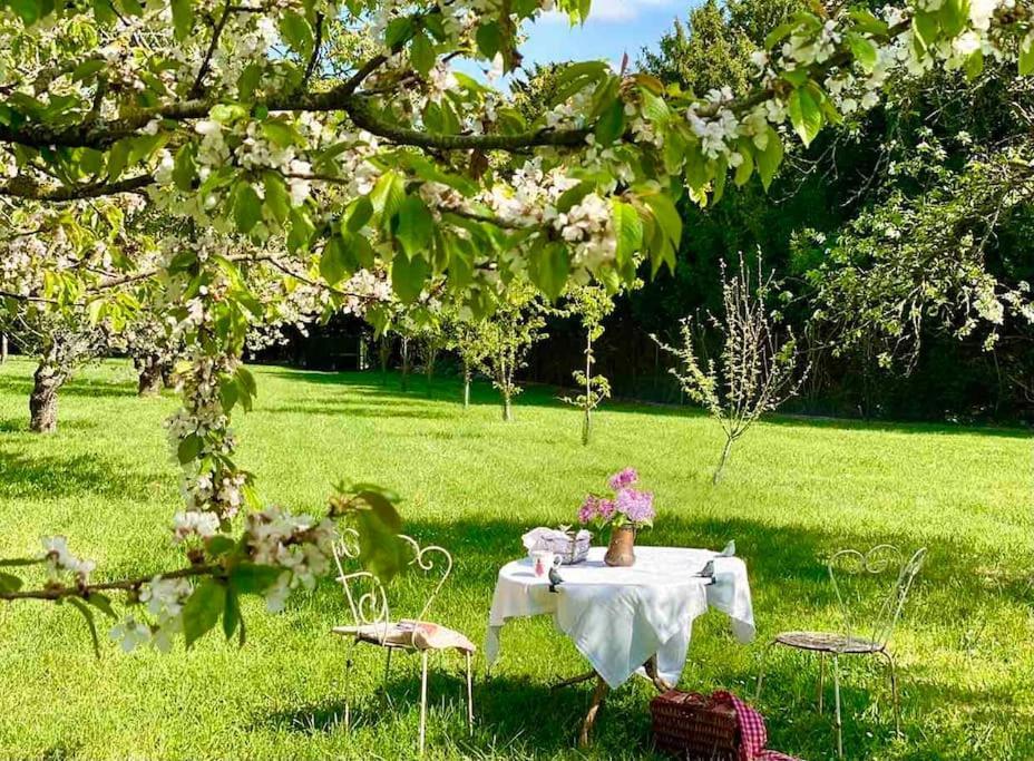 Charming Romantic Tower In Chateau Estate Ocquerre Kültér fotó